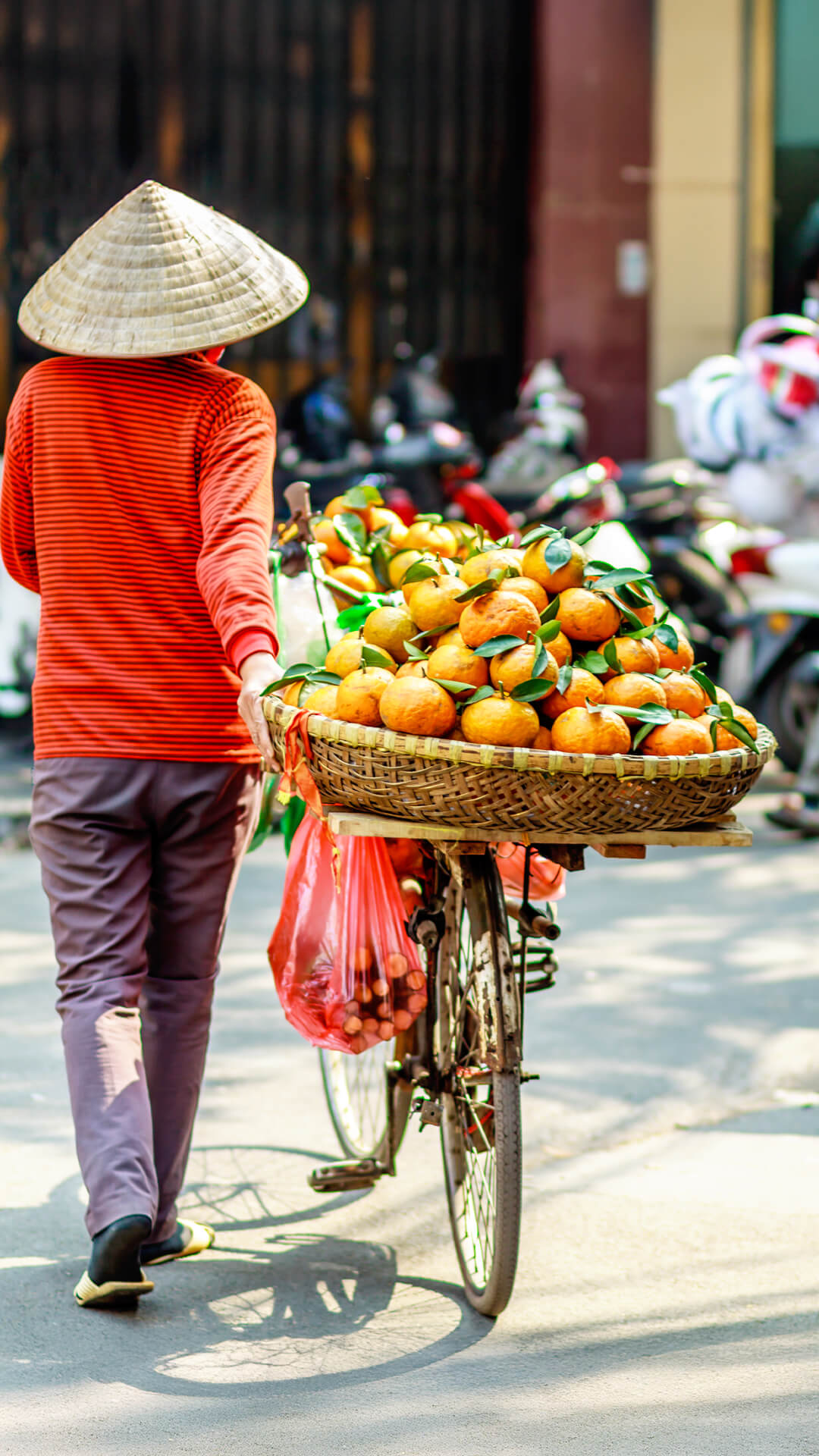 Poznávací zájezd Vietnam, Kambodža s CK SEN